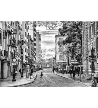CALLE 22