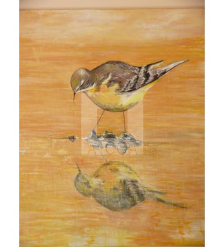 pájaro en el agua