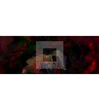 Troya