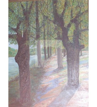 CAMINO
