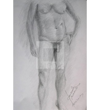 desnudo masculino