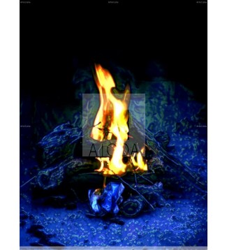 Fuego asador