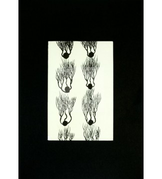 Raíces, Serie 2, Dibujo 3