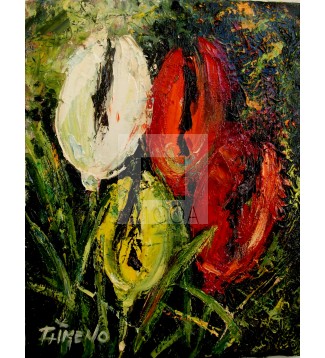 Tulipanes 2