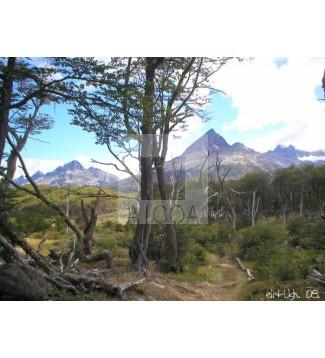 Laguna Esmeralda 1