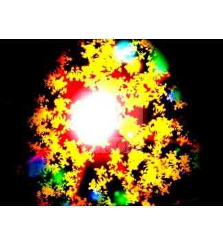 Supernova Kepler