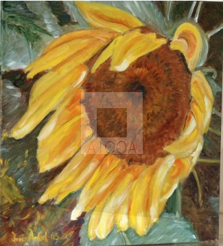 GIRASOL MELOSO