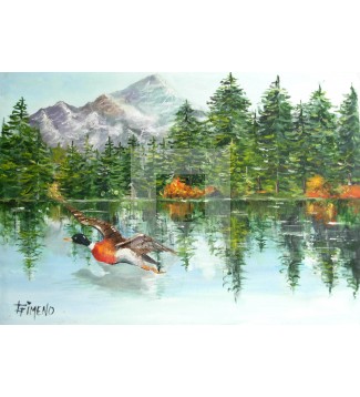 EL PATO EN EL LAGO