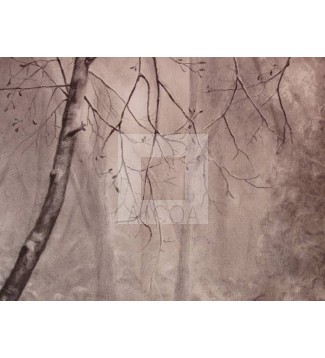 Bosque en brumas