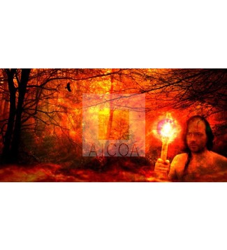 Paracelsus Land IV