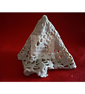 ENCAJE DE PORCELANA