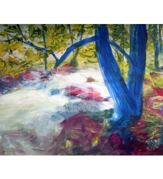 arroyo en el bosque