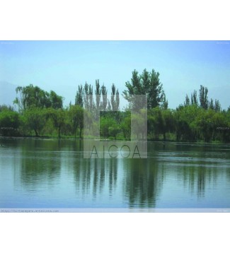 Paisaje Narural 1