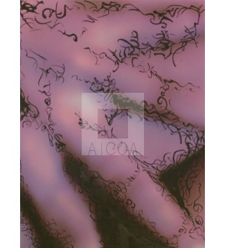 Heridas del cuerpo, Serie 2, Obra 1