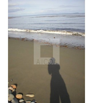 Mi sombra en la &uacute;ltima playa