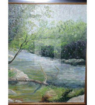 PAISAJE DE LA PEDRIZA