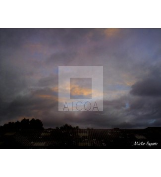 Cielo 13