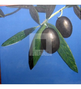 Aceitunas