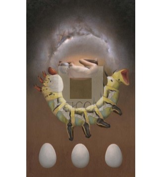 EVOLUCIÓN