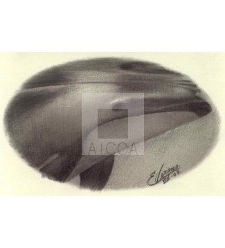 Ballena