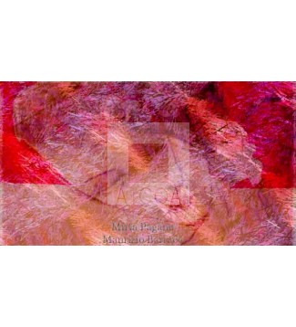 Fusione delle Arti 3