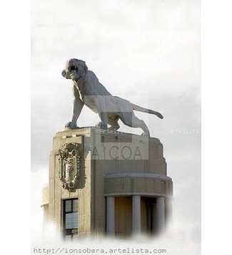 tigre