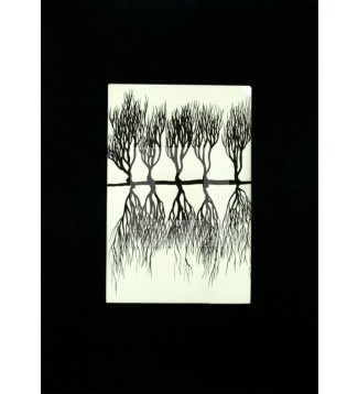 Raíces, Serie 2, Dibujo 2
