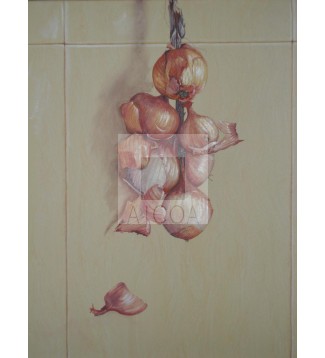 Cebollas