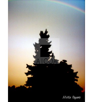Arco Iris 5