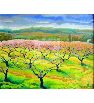 melocotoneros en flor