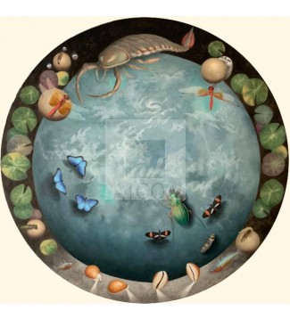 KEPLER 440B, CARACOLAS Y HELICONIAS