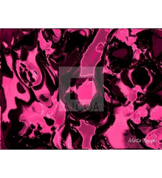Movimiento 44