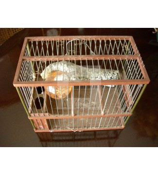 cogiendo mis recuerdos