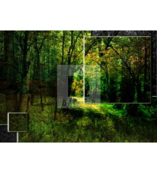 Bosque 1
