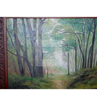 paisaje