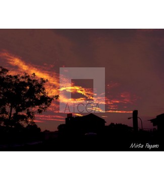Mi cielo rojo