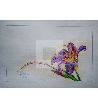 Campanilla malva