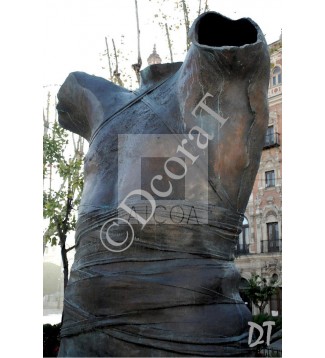 Torso