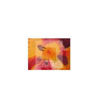 Flor