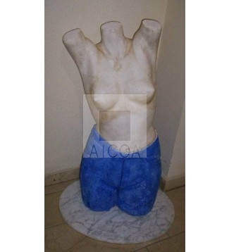 Torso