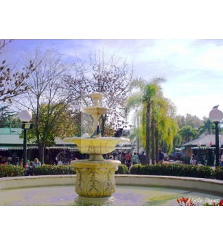 Fuente