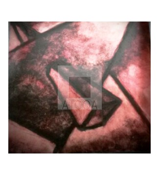 PLACA DE ALUMINIO ESGRAFIADA- INTERSECCIONES VITALES