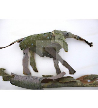 ELEFANTE PARA CHARO  VERSION 2