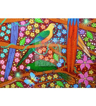 Arara, Jandaia e papagaio