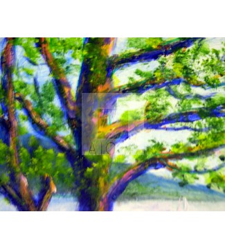 paisaje con rosas