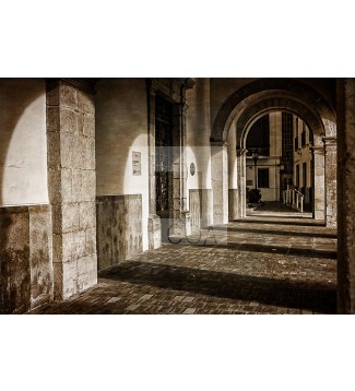 ARCOS, Ayuntamiento de Castellón