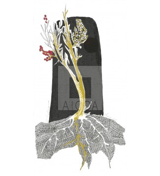 ALMA