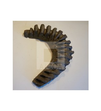 VERTEBRAS CERÁMICAS