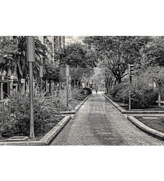 CALLE 36