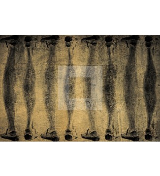 COLUMNAS